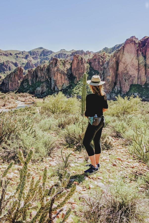 Saguaro Lake Ranch ファウンテンヒルズ エクステリア 写真