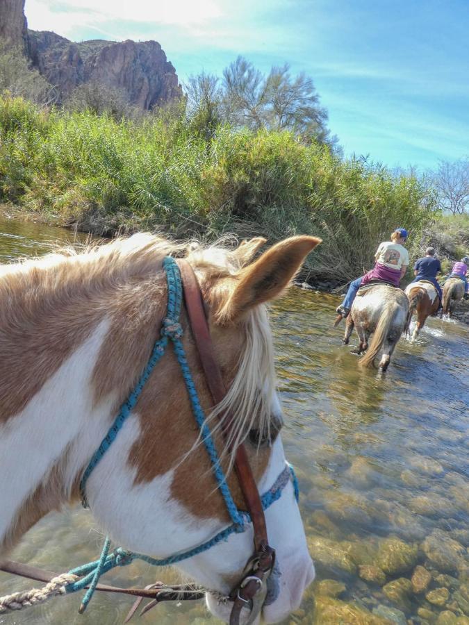 Saguaro Lake Ranch ファウンテンヒルズ エクステリア 写真